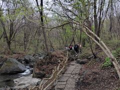-香炉山国家森林公园