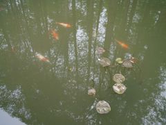 -杭州张苍水先生祠