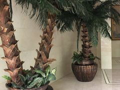 -DF游泳健身(贾家花园店)
