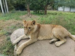 -西安秦岭野生动物园