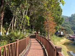 -水濂山森林公园