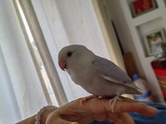-雨林宠物医院 非犬猫异宠专科