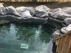 -和园景逸大酒店朗月汤泉