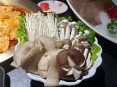 菌菇组合-九鼎轩脆毛肚火锅(南京东路店)