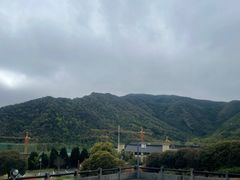 -大唐贡茶院