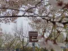 -龙美术馆西岸馆-停车场