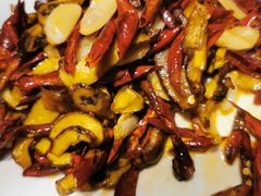 -滇铺子·云南特色菜·第九届野生菌美食节(东风东路c86店)