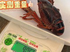 -祥鹤龙虾螃蟹