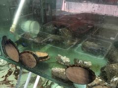 -滑记海鲜饭店·老字号(海鲜街店)