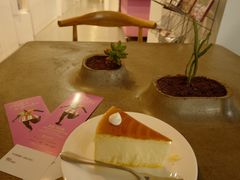 -今日艺术汇书店