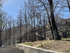 -阳台山自然风景区