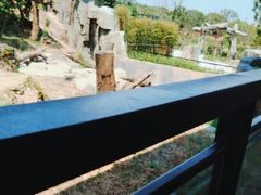 -宁波野生动物园
