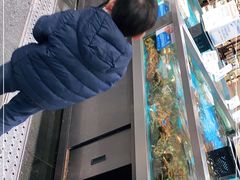 -盒马鲜生(领丰汇店)