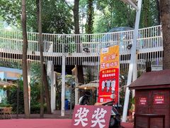 -二荆条·城市森林火锅旗舰店