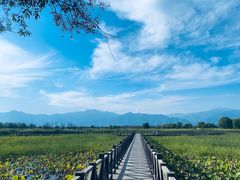 -野鸭湖国家湿地公园