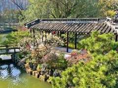 -上海醉白池公园