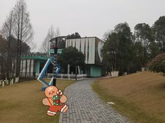 -铁山坪森林公园