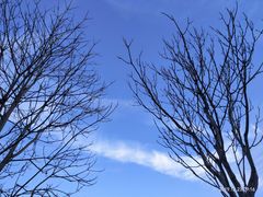 -中国铁道博物馆(正阳门馆)