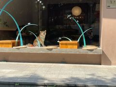 -溯洄咖啡VORTEX COFFEE