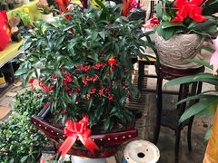 -秦美花卉(天朗·莱茵小城2期店)