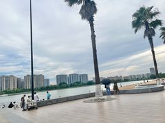 -金沙湖公园