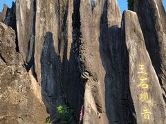 -玉石林风景区