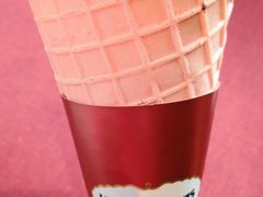 单球丹麦筒（茉莉花覆盆子石榴）-哈根达斯(武汉天地店)