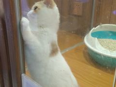 -龟与熊猫宠物公园(南坪店)