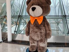 -济州岛泰迪熊博物馆