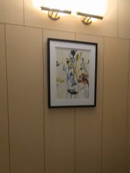-娇莉芙美颜SPA连锁