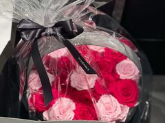 -ROSEONLY诺誓(磐基中心店)