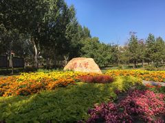 -长春公园(普阳街道)