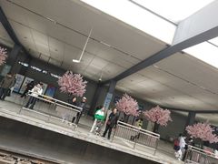 -黄浦路(地铁站)