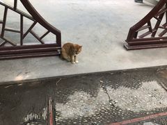 -汇龙潭