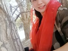 -金塔沙漠胡杨林景区