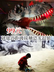 -恐龙探索乐园(磁器口店)