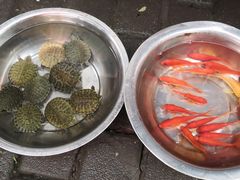 -南昌之星游乐场