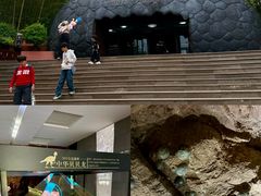 -中国西峡恐龙遗迹园