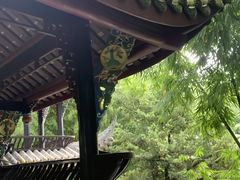 -望江楼公园