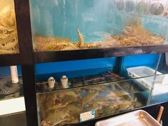 水产区-日丰园海肠水饺·老字号大连海鲜(和平广场店)
