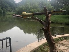 -玉渡山自然风景区