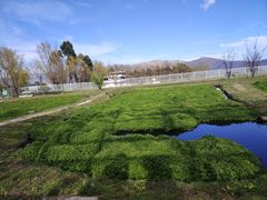 -才村湿地公园