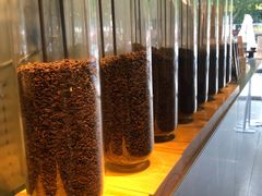 -喜茶(东莞汇一城店)