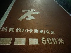 -南宁南湖公园