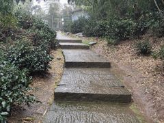 -长沙黑麋峰国家森林公园
