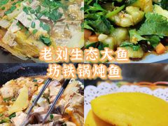 -老刘生态大鱼坊铁锅炖鱼(赛马场店)