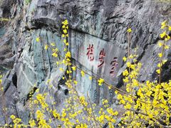 -泰山风景名胜区