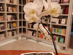 -二酉书店TOYOU BOOKS