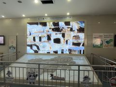 -延庆地质公园博物馆