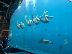 -瑞德姆美人鱼海底演艺主题餐厅(亚龙湾店)